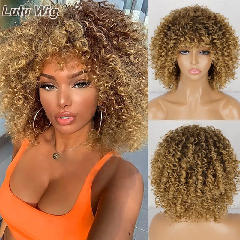 Curly Afro Wig