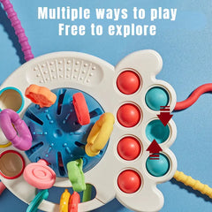 Baby Sensory Development Toy