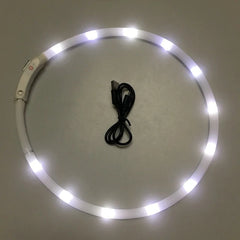 LED Pet Collar