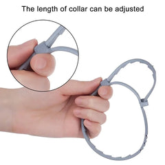 Anti Flea Collar