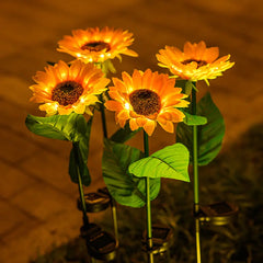 Solar Sunflowers Lawn Light