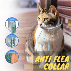 Anti Flea Collar