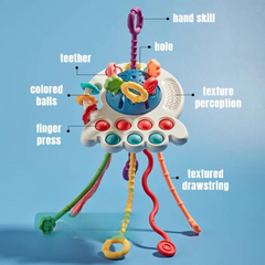 Baby Sensory Development Toy