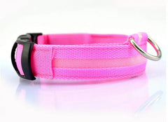 Night Safety Pet Collar