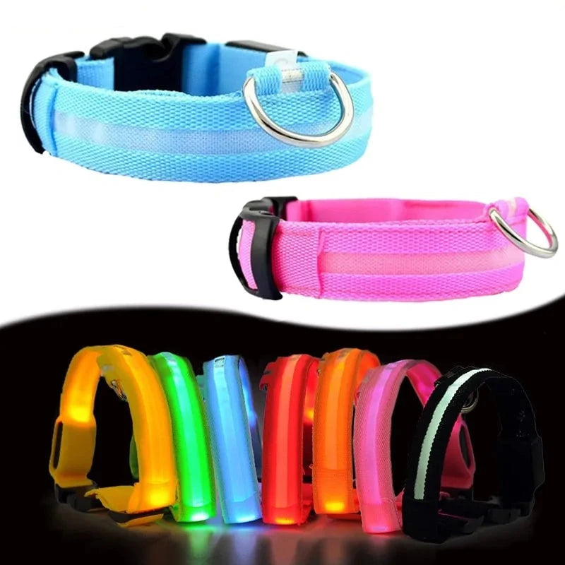 Night Safety Pet Collar