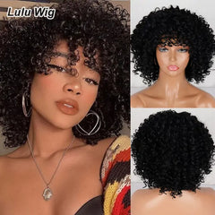 Curly Afro Wig