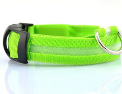 Night Safety Pet Collar