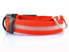 Night Safety Pet Collar