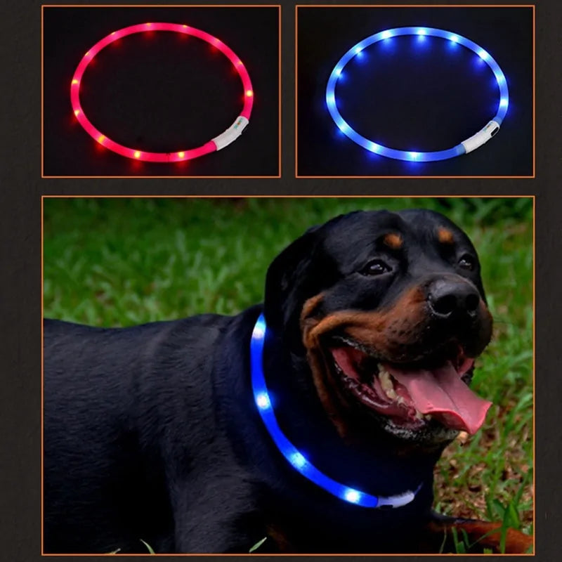 LED Pet Collar