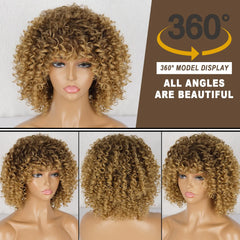 Curly Afro Wig