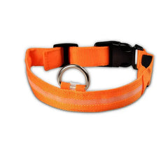 Night Safety Pet Collar