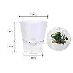 Automatic Water-Absorbing Flowerpot