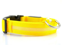 Night Safety Pet Collar